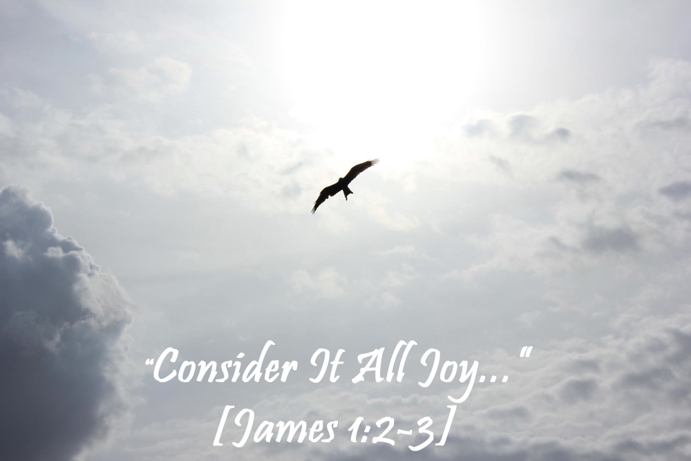 Consider It All Joy-Bird